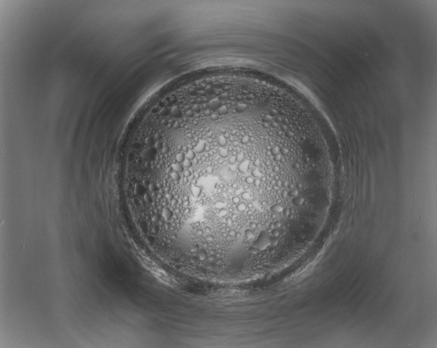 X0000060770783200511101213