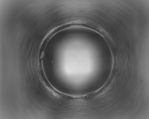 X0000060770784200511101213