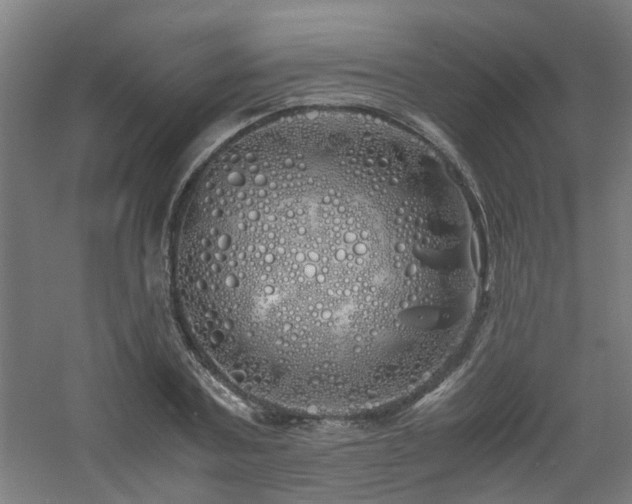 X0000060770787200511101213