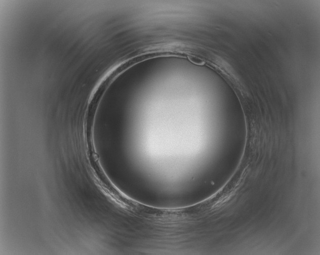 X0000060770788200511101213