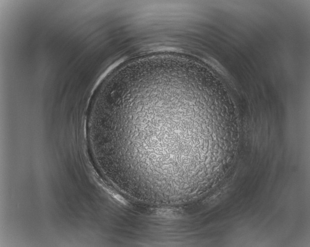 X0000060770790200511101213