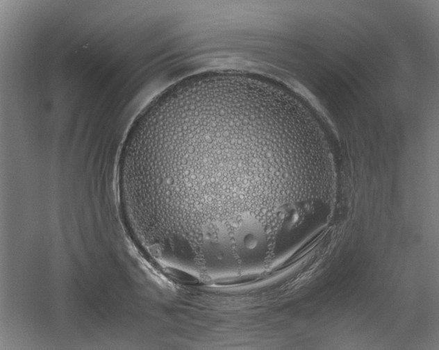 X0000060770791200511101213