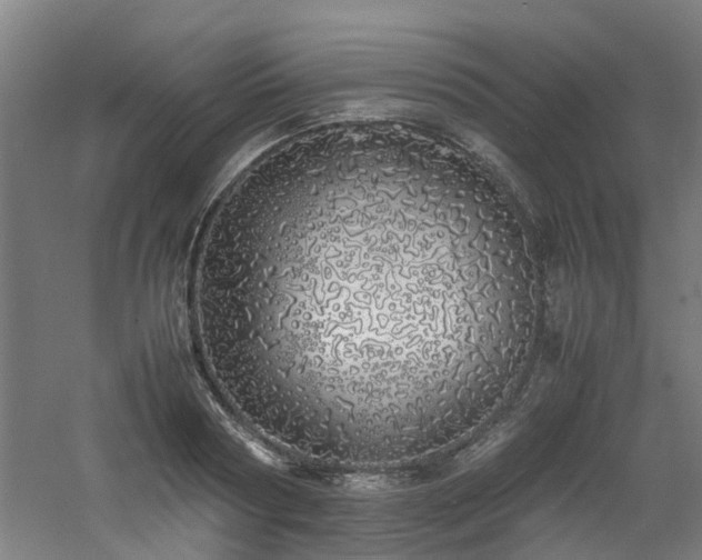 X0000060770794200511101213