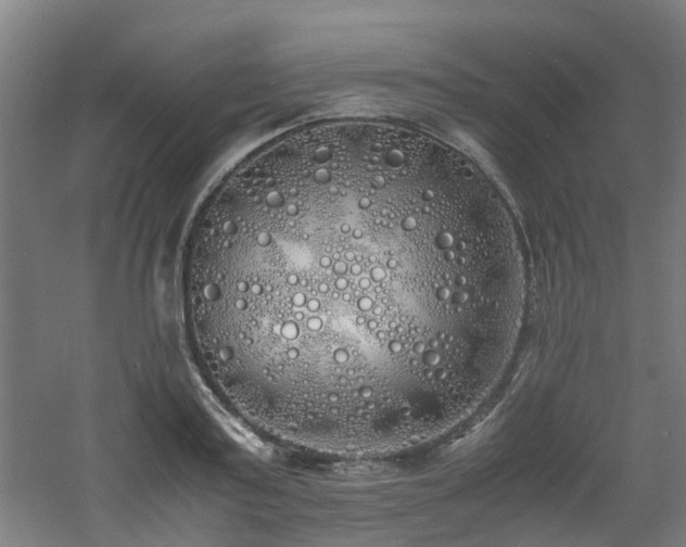 X0000060770795200511101213