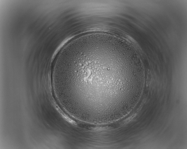 X0000060770796200511101213