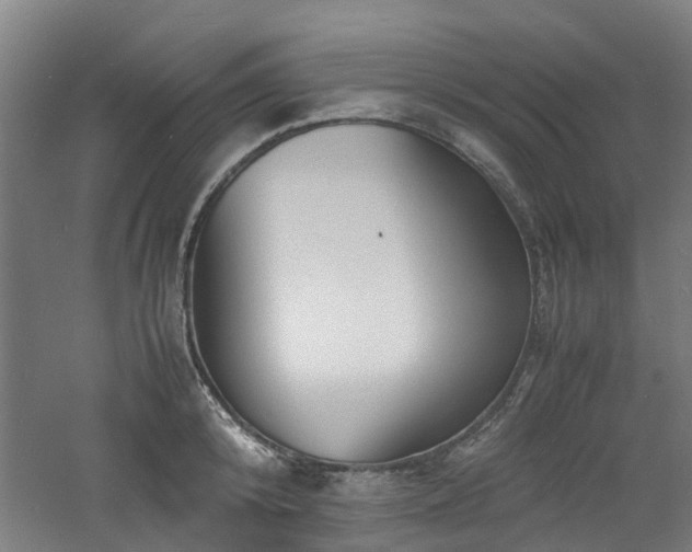 X0000060770800200511101212