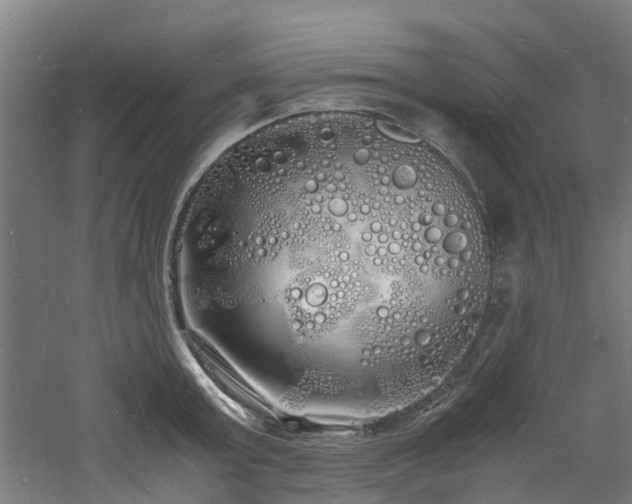 X0000060770803200511101212