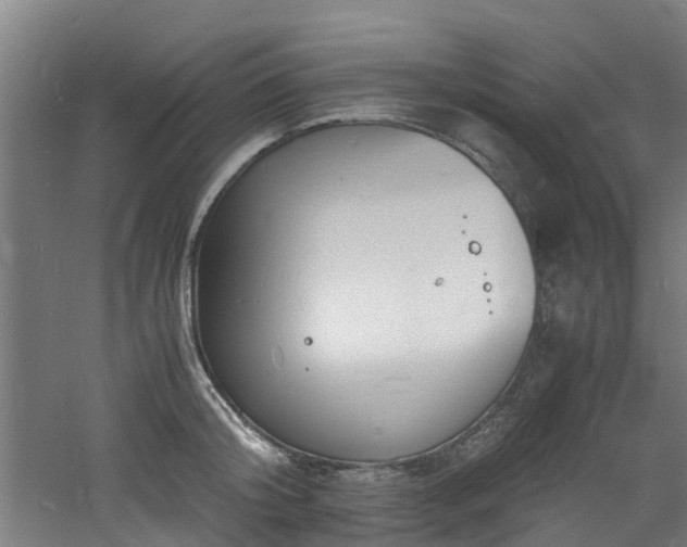 X0000060770804200511101212