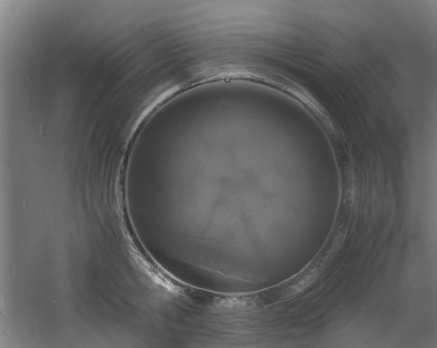 X0000060770806200511101212