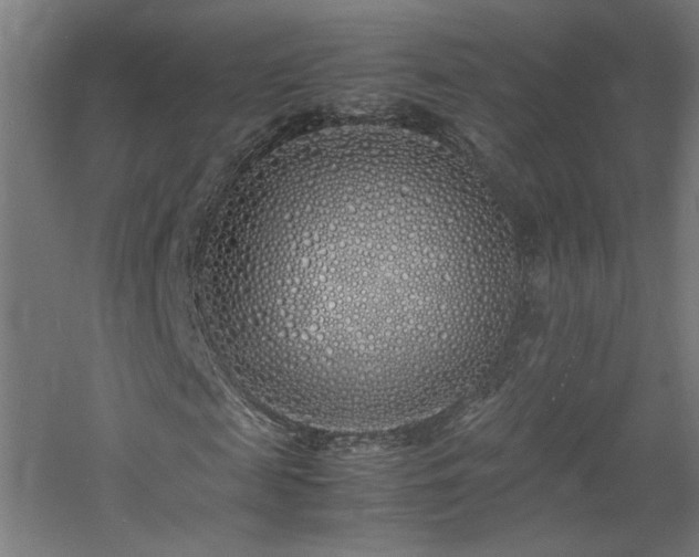 X0000060770817200511101211