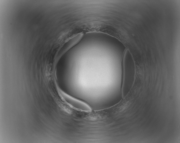 X0000060770818200511101211