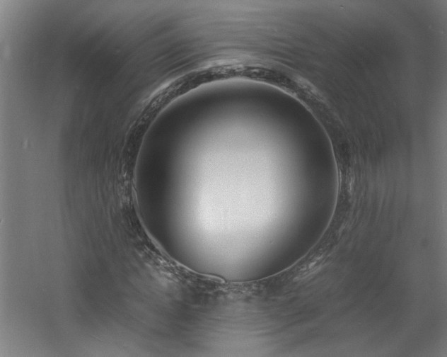 X0000060770822200511101211