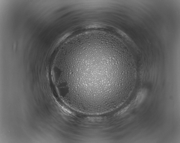 X0000060770825200511101211
