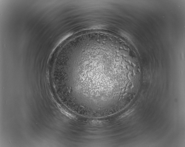 X0000060770827200511101212