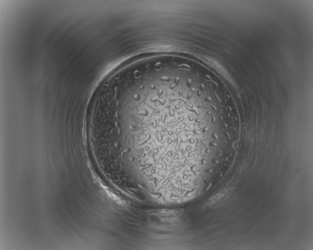 X0000060770839200511101212