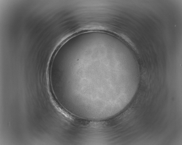 X0000060770840200511101212