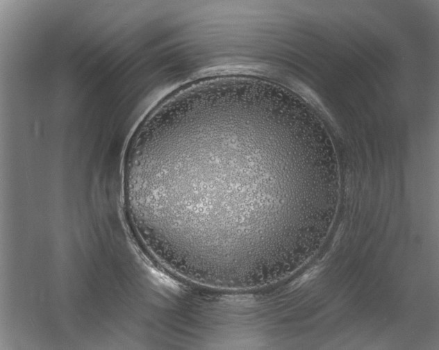 X0000060770844200511101212