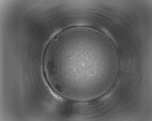 X0000060770845200511101212