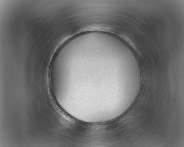 X0000060770848200511101212