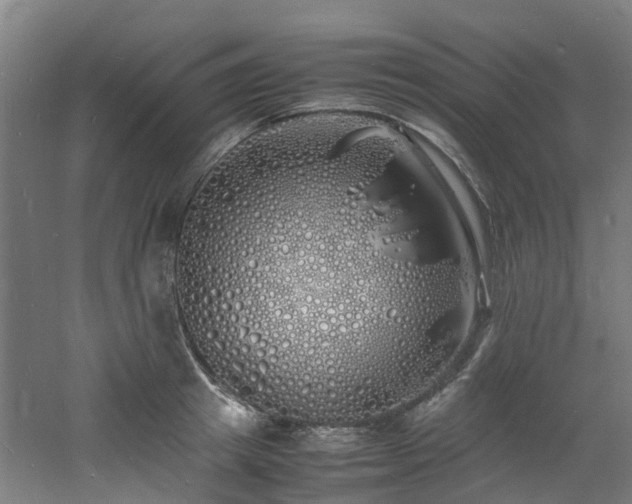 X0000060770849200511101212