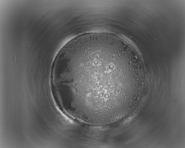 X0000060770855200511101212