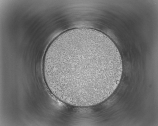 X0000060770856200511101212