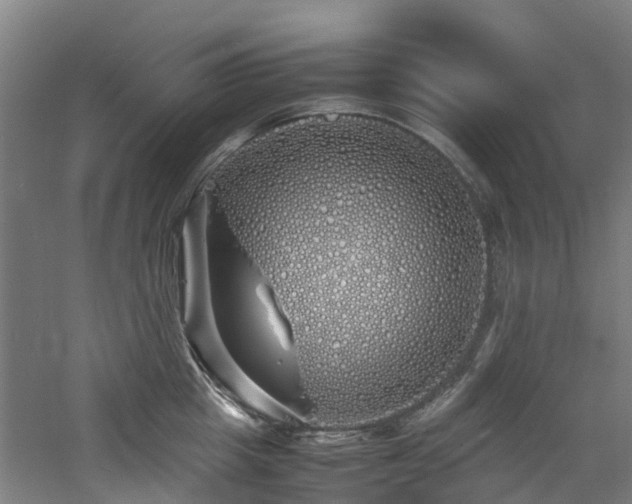 X0000060770857200511101212