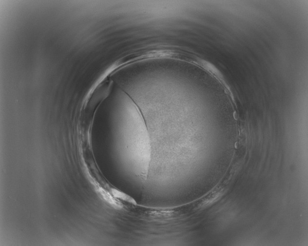 X0000060770859200511101212