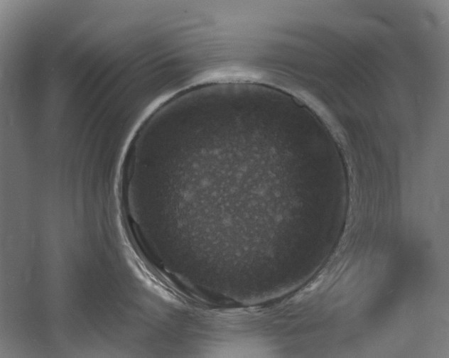 X0000060770864200511101212