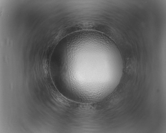 X0000060770866200511101211