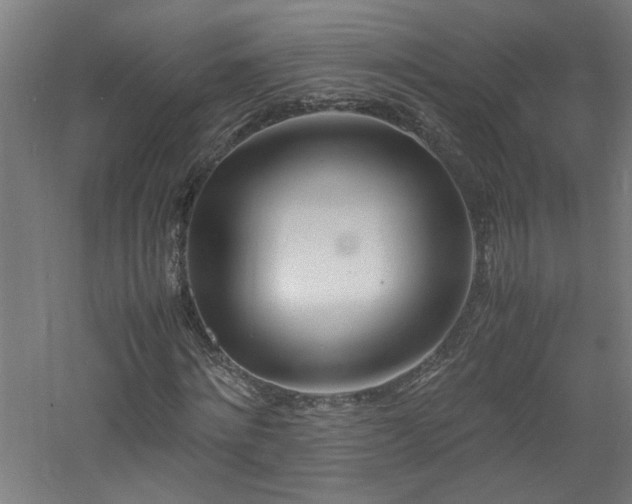 X0000060770868200511101211