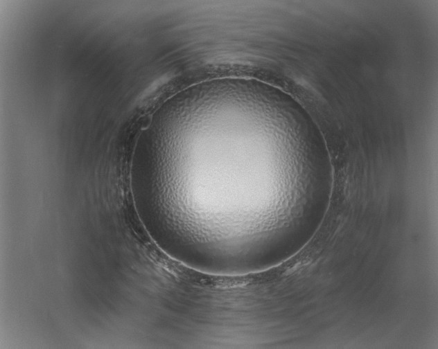 X0000060770870200511101211