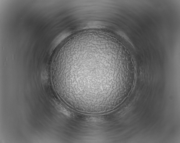 X0000060770874200511101211