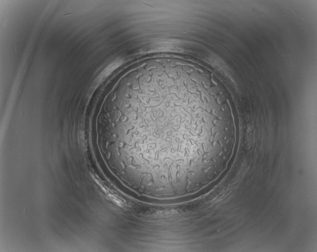 X0000060770882200511101211