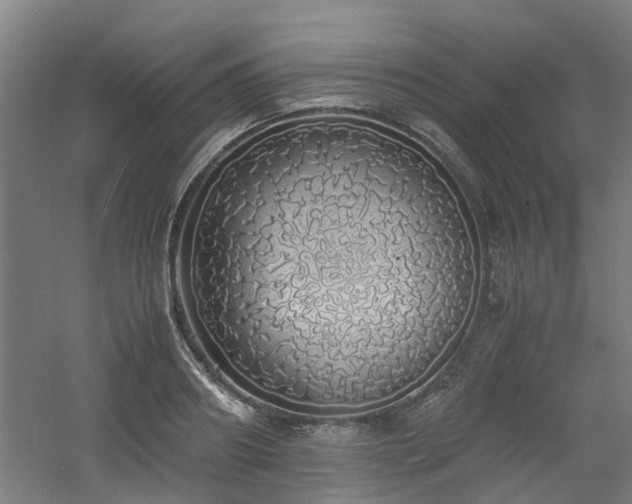 X0000060770890200511101211