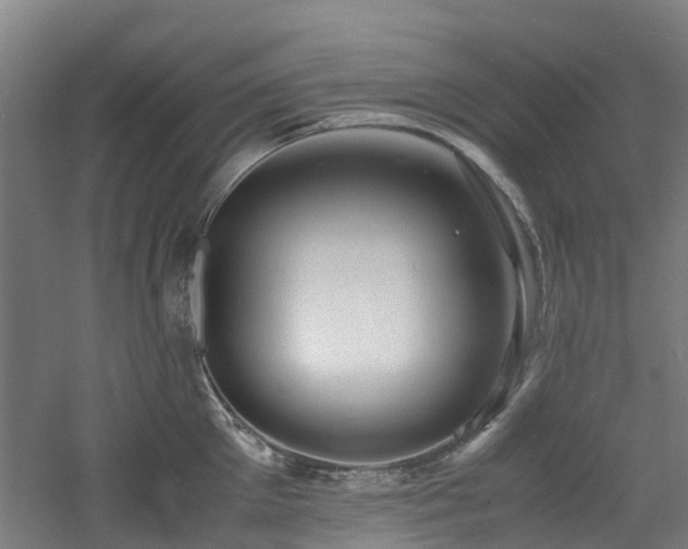 X0000060770905200511101211