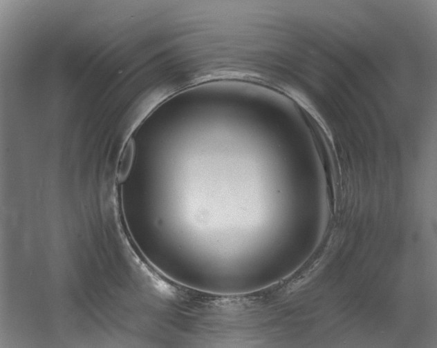 X0000060770906200511101211