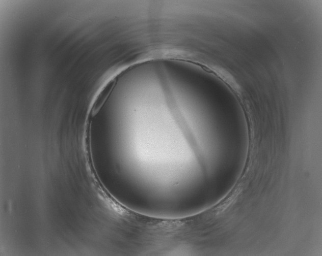 X0000060770912200511101211