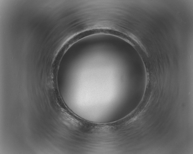X0000060770926200511101210