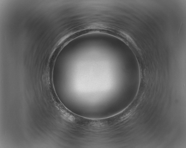 X0000060770931200511101210