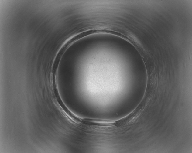X0000060770932200511101210
