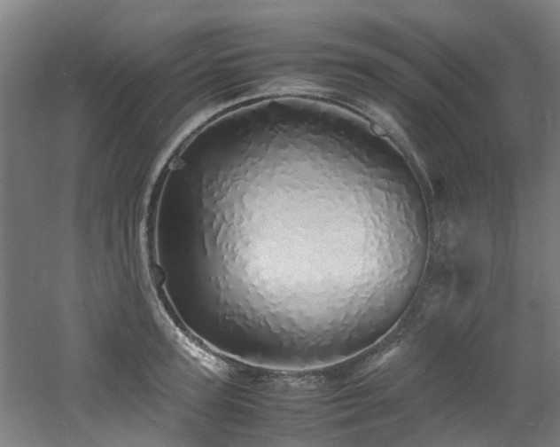 X0000060770947200511101210
