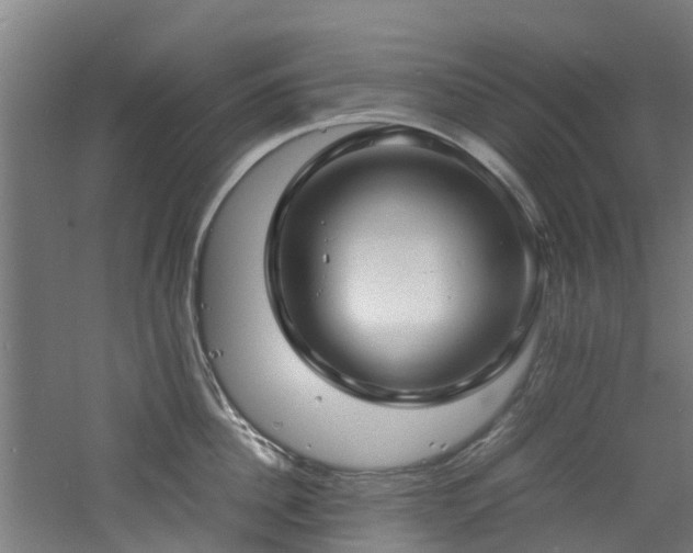 X0000060770956200511101210