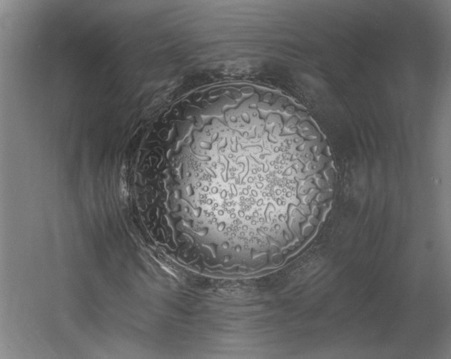 X0000060770962200511101210