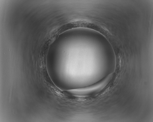 X0000060770965200511101210