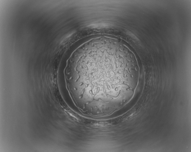 X0000060770966200511101210