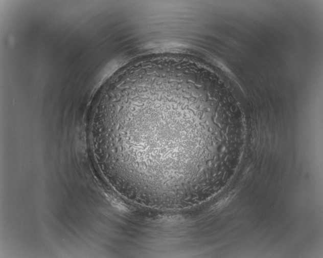 X0000060770978200511101209