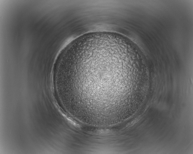 X0000060770982200511101209