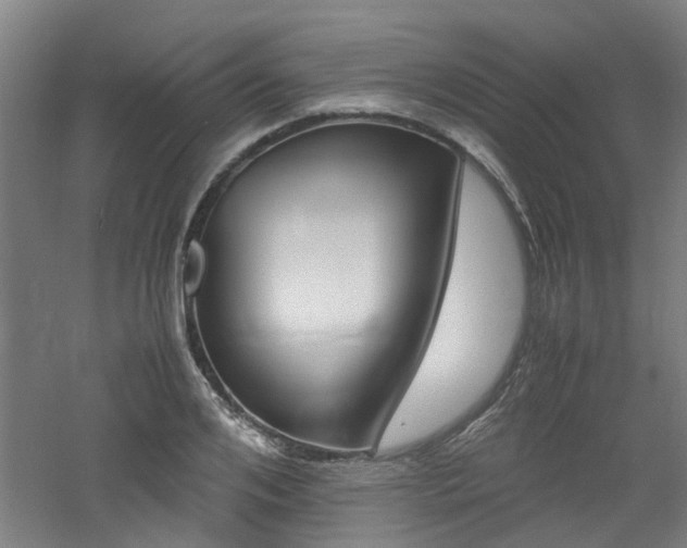 X0000060770984200511101209