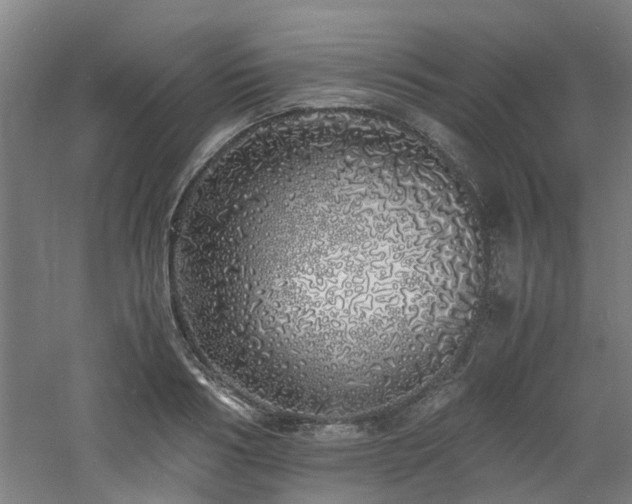 X0000060770986200511101209